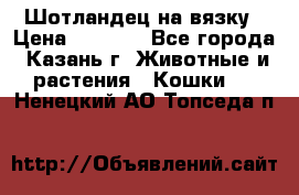 Шотландец на вязку › Цена ­ 1 000 - Все города, Казань г. Животные и растения » Кошки   . Ненецкий АО,Топседа п.